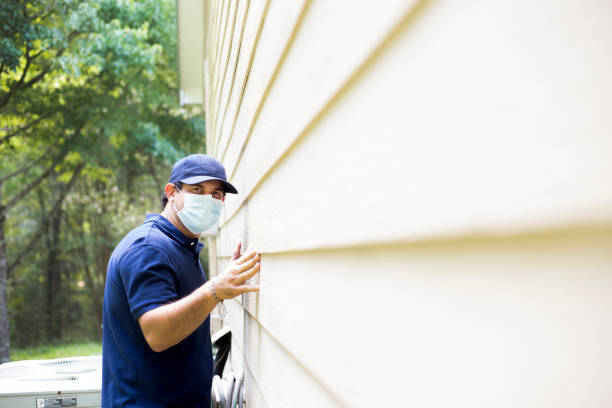 Best Siding Removal and Disposal  in Big Rapids, MI